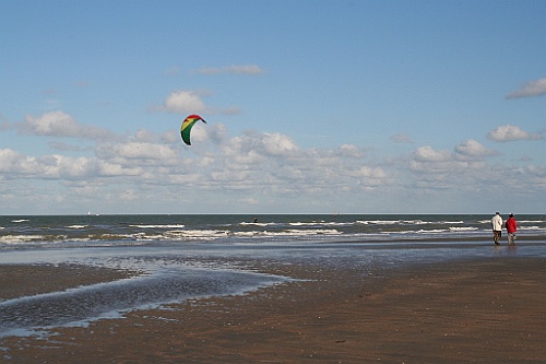DePanne (13)
